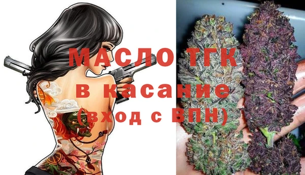 ECSTASY Бородино