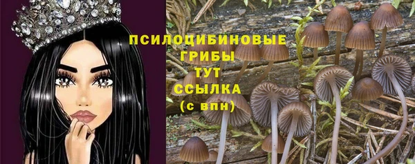 ECSTASY Бородино