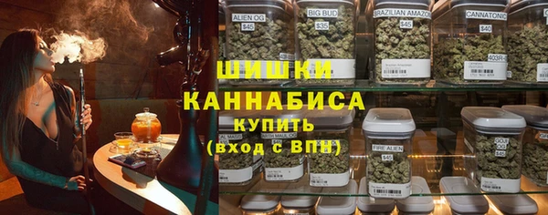 ECSTASY Бородино