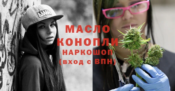 ECSTASY Бородино